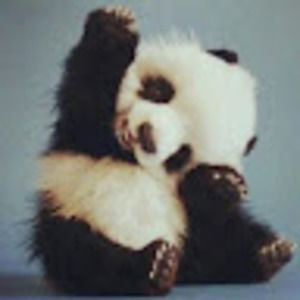 Meet your Posher, Macy